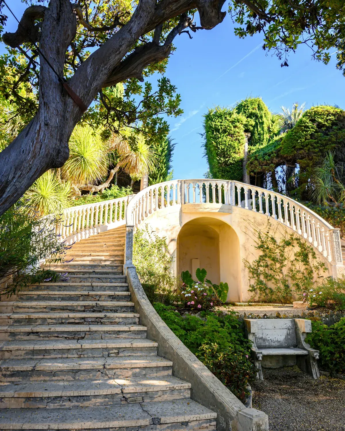 Escalier de pierre dans un jardin méditerranéen